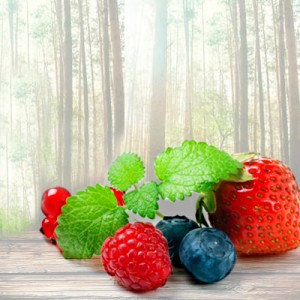 Waldfrüchte