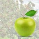 Apfel