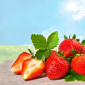 Erdbeere