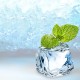Menthol 