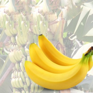 Banane