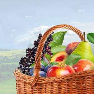 Tutti Frutti ( Frucht-Mix )