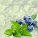 Blaubeere / Heidelbeere - Mint