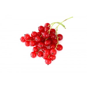 Johannisbeere
