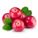 Cranberry
