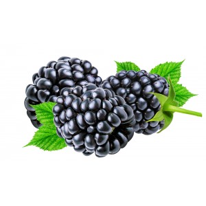 Brombeere