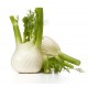 Fenchel